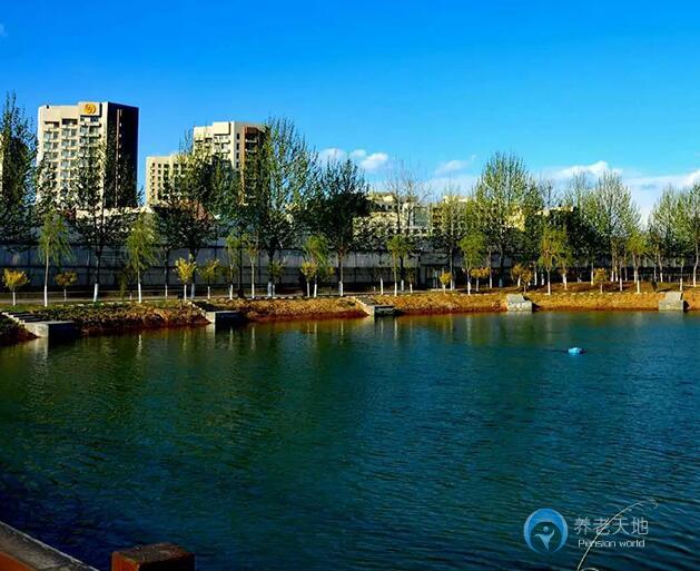 1626935901775082979.jpg 1626935901775082979.jpg