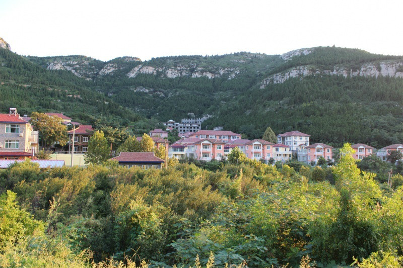 1629445819232081561.jpg 1629445819232081561.jpg