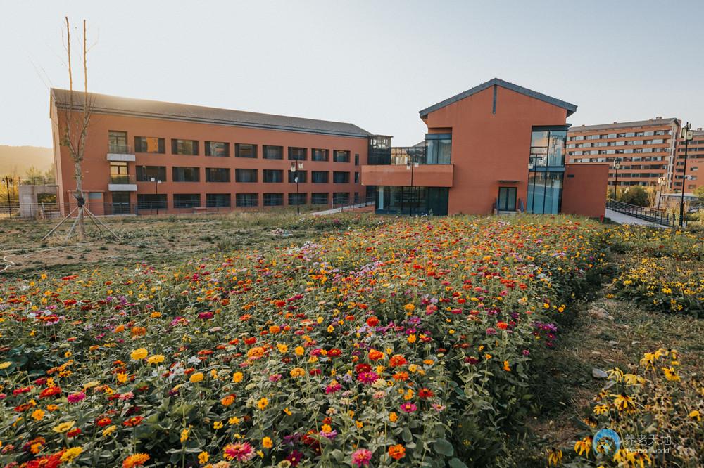 1629445868513095932.jpg 1629445868513095932.jpg