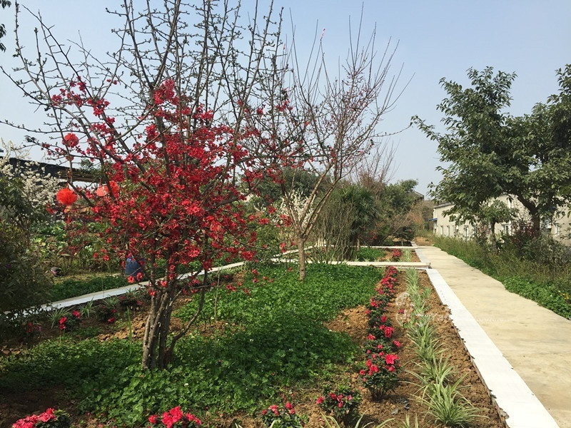 1629860986845031727.jpg 1629860986845031727.jpg