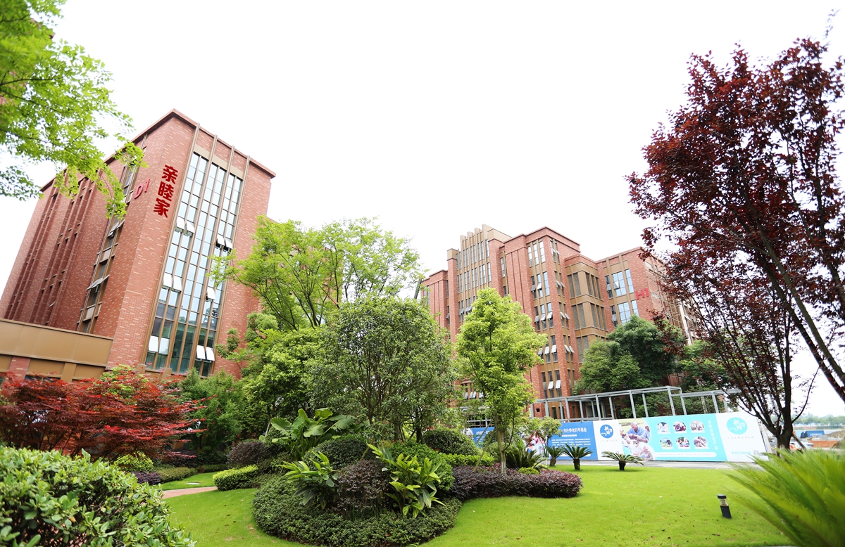 1631065481842003531.jpg 1631065481842003531.jpg