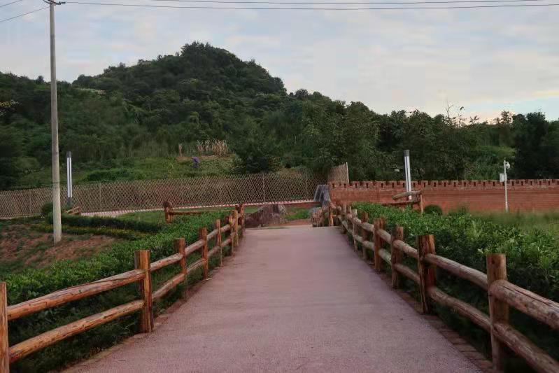 1631587358968037907.jpg 1631587358968037907.jpg