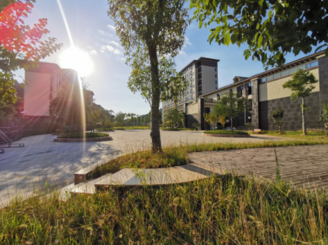 1637045762928083688.png QQ截圖20211116144304.png