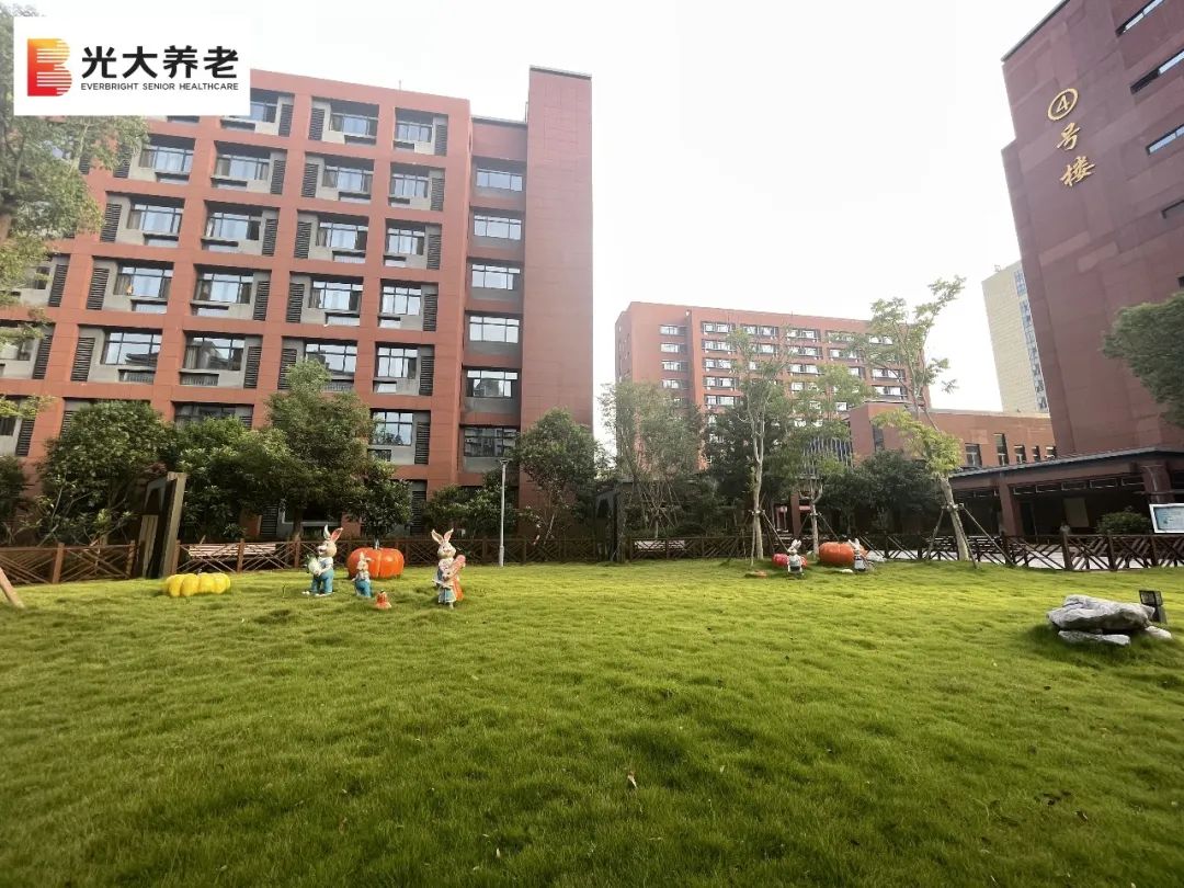 1655879370223069863.jpg 1655879370223069863.jpg