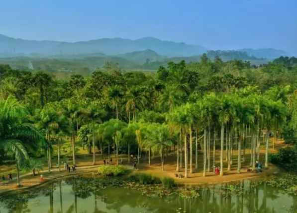 1694656165257012097.png 1.png