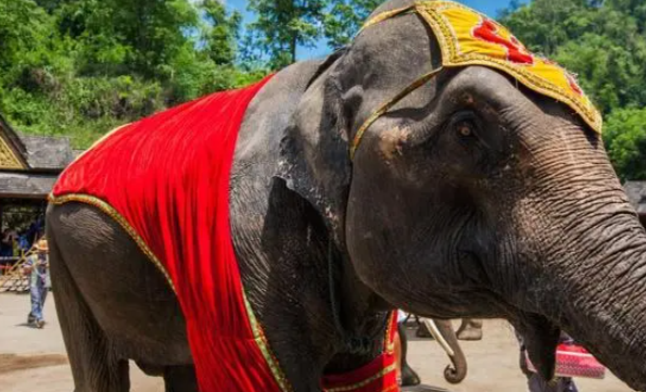 1694656186679047200.png 3.png