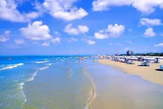 1694756659794011977.png 1.png