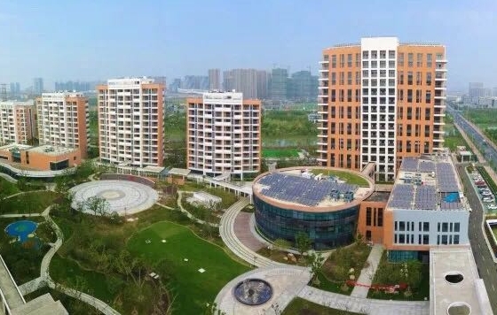 1702715498888069976.png 1.png