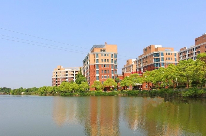 1705040875570098520.png 1.png