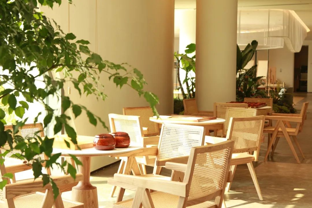 1705470427821002825.jpg 1705470427821002825.jpg