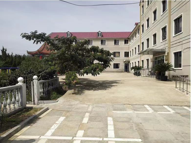 1736738436177006058.jpg 1736738436177006058.jpg